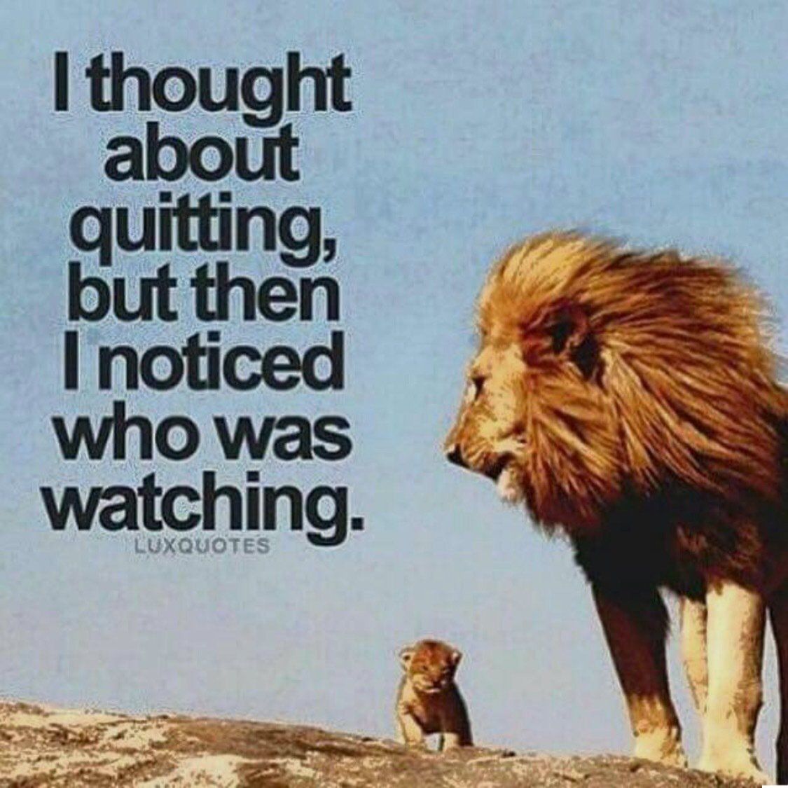 A lion standing next to a baby lion with a quote about quitting