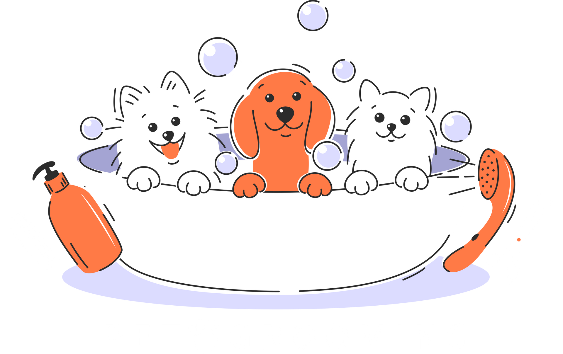 Pet Grooming