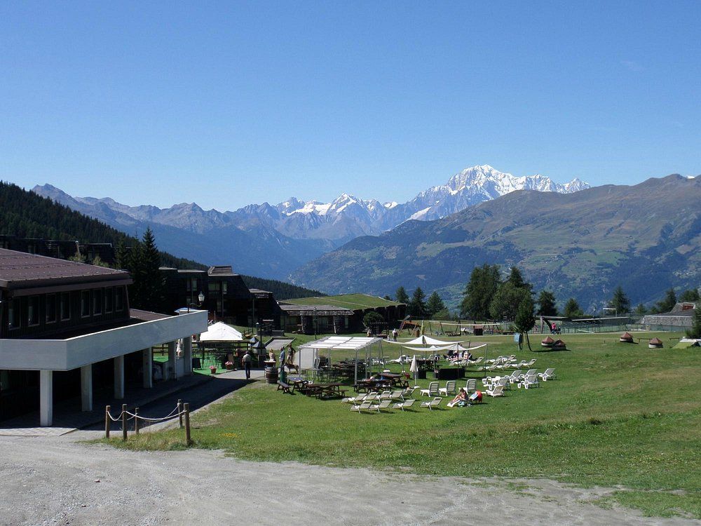 Un campo verde lussureggiante con le montagne sullo sfondo