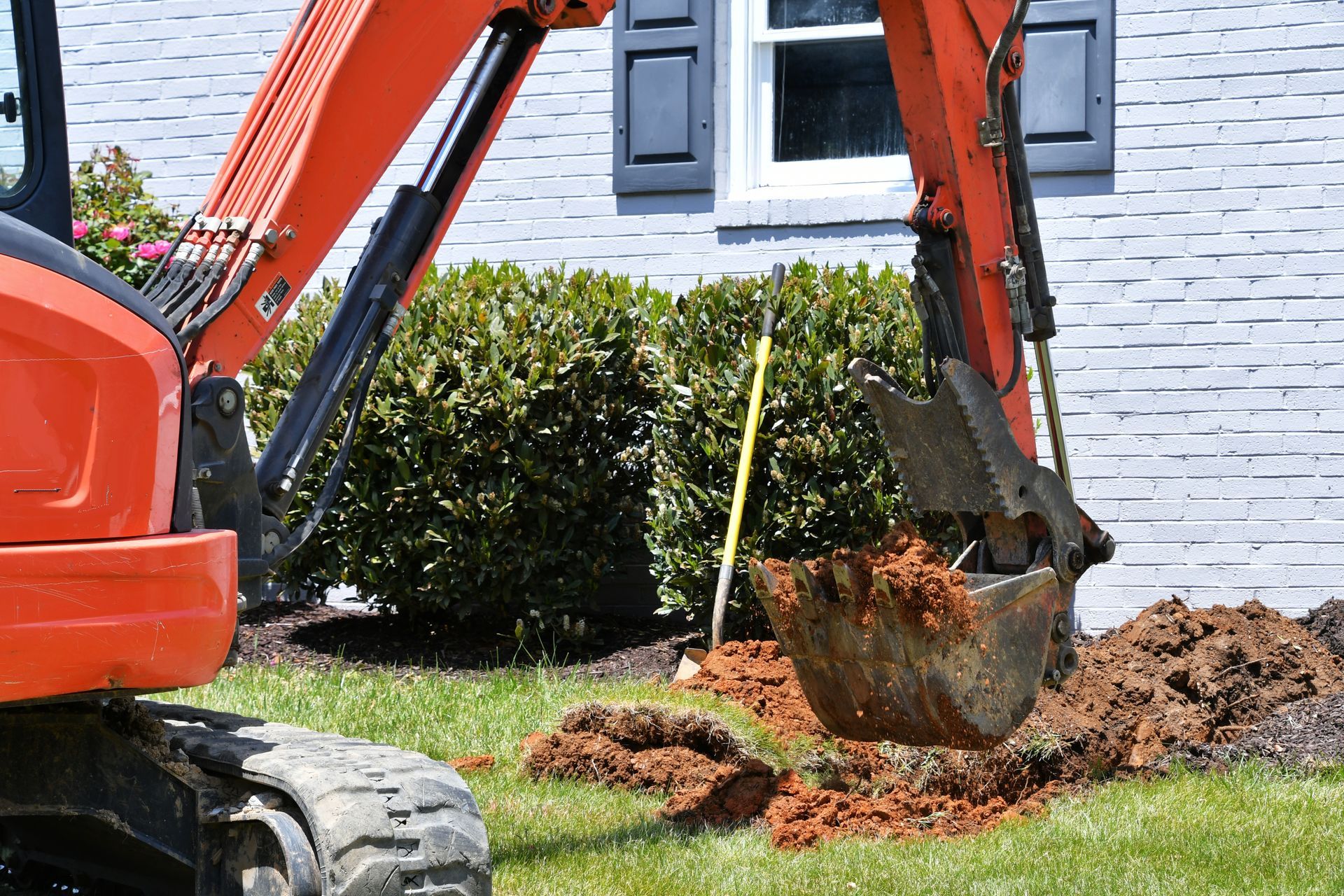 Orange backhoe digging soil beside a house and hedge in a yard