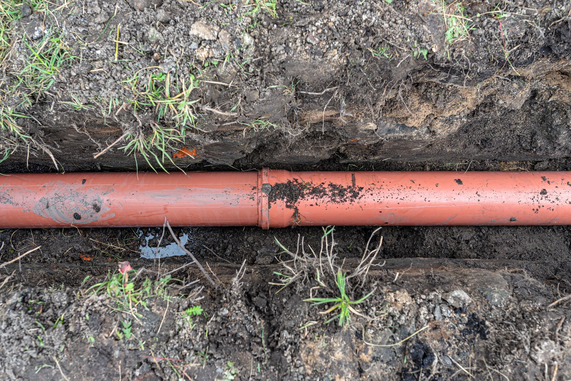 Orange pipe laid in muddy soil with grass and dirt around it