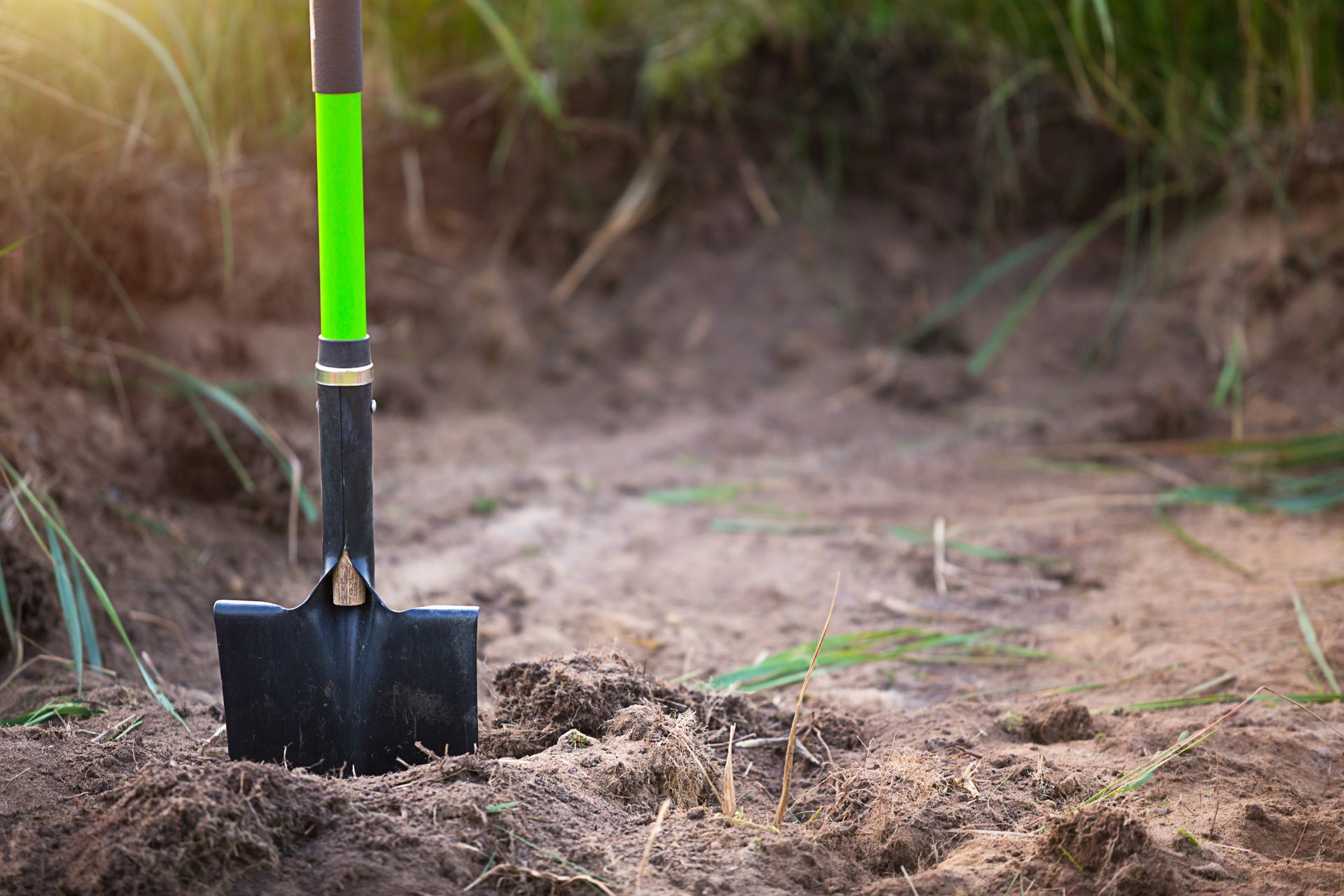 Green-handled shovel stuck in dry soil in an outdoor garden patch