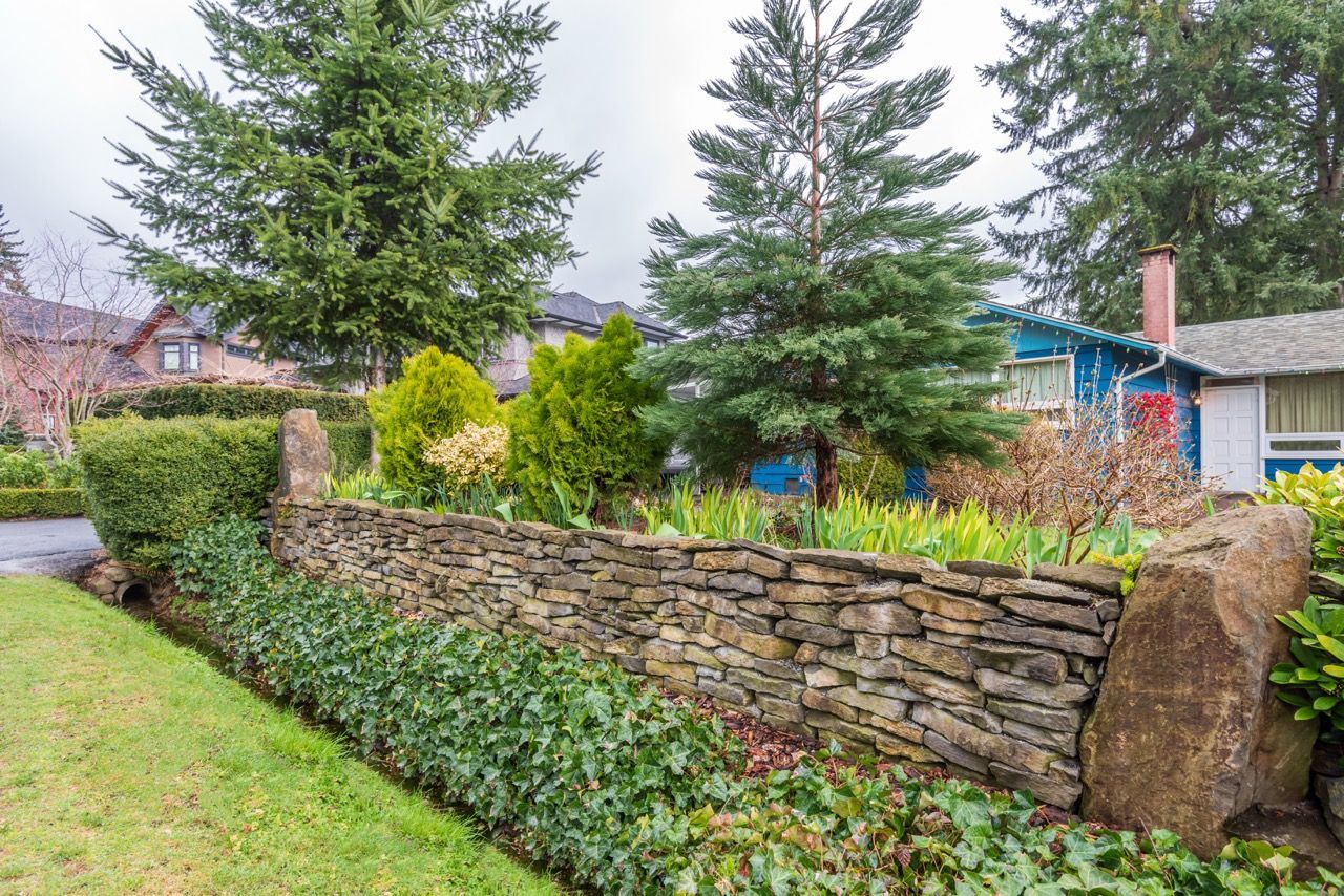 Stone garden wall with evergreen shrubs and trees beside a grassy yard and houses