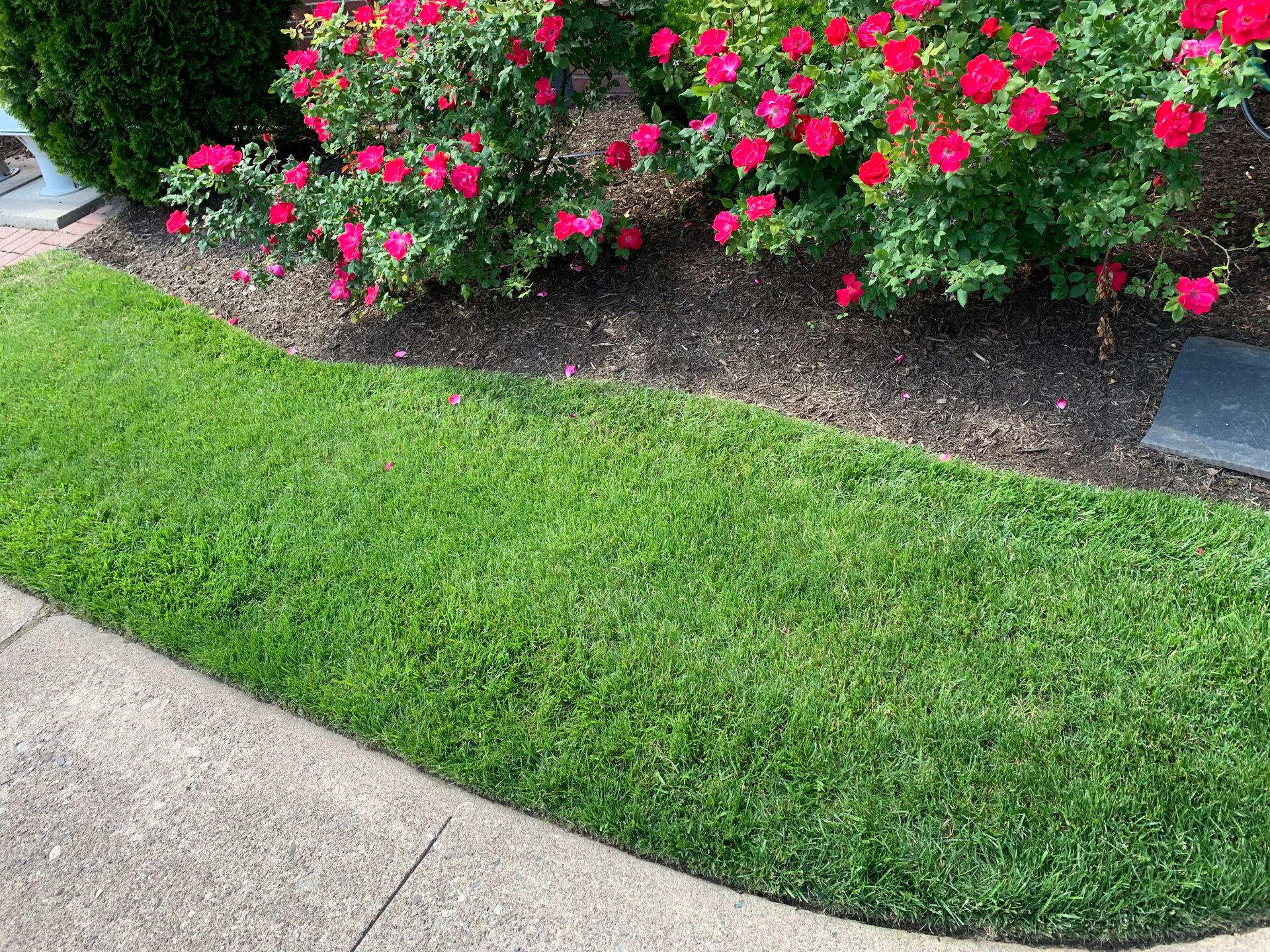 Maintaining Lawns Westwood, NJ Four Brothers Landscape