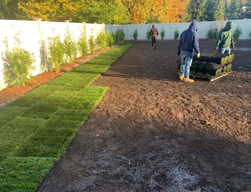 Installing Sod — Westwood, NJ — Four Brothers Landscape, Inc.