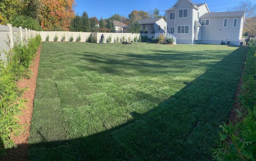 After Installing Sod — Westwood, NJ — Four Brothers Landscape, Inc.