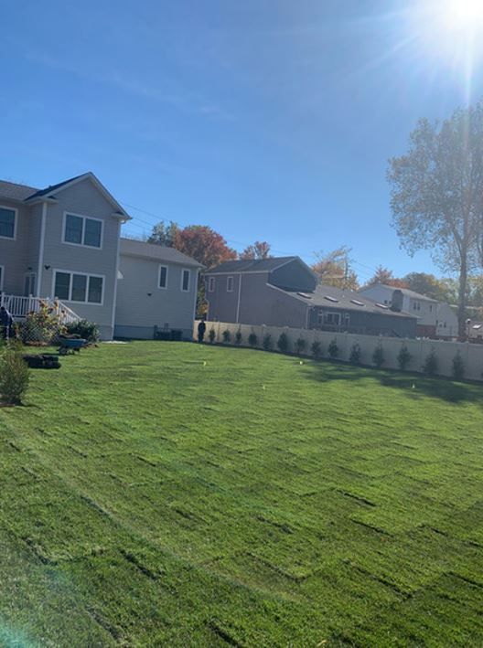 After Installing Lawn — Westwood, NJ — Four Brothers Landscape, Inc.