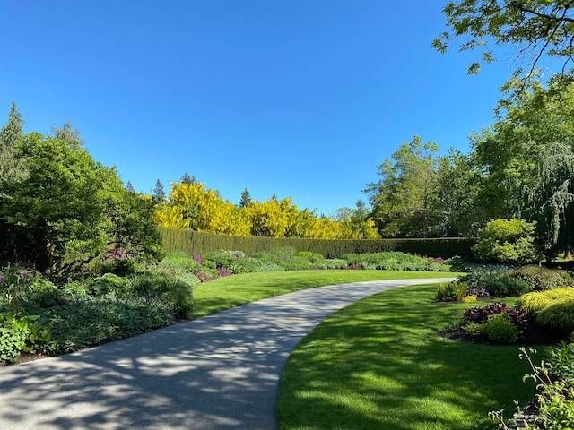 Curving park path beside green lawn and shrubs under a bright blue sky