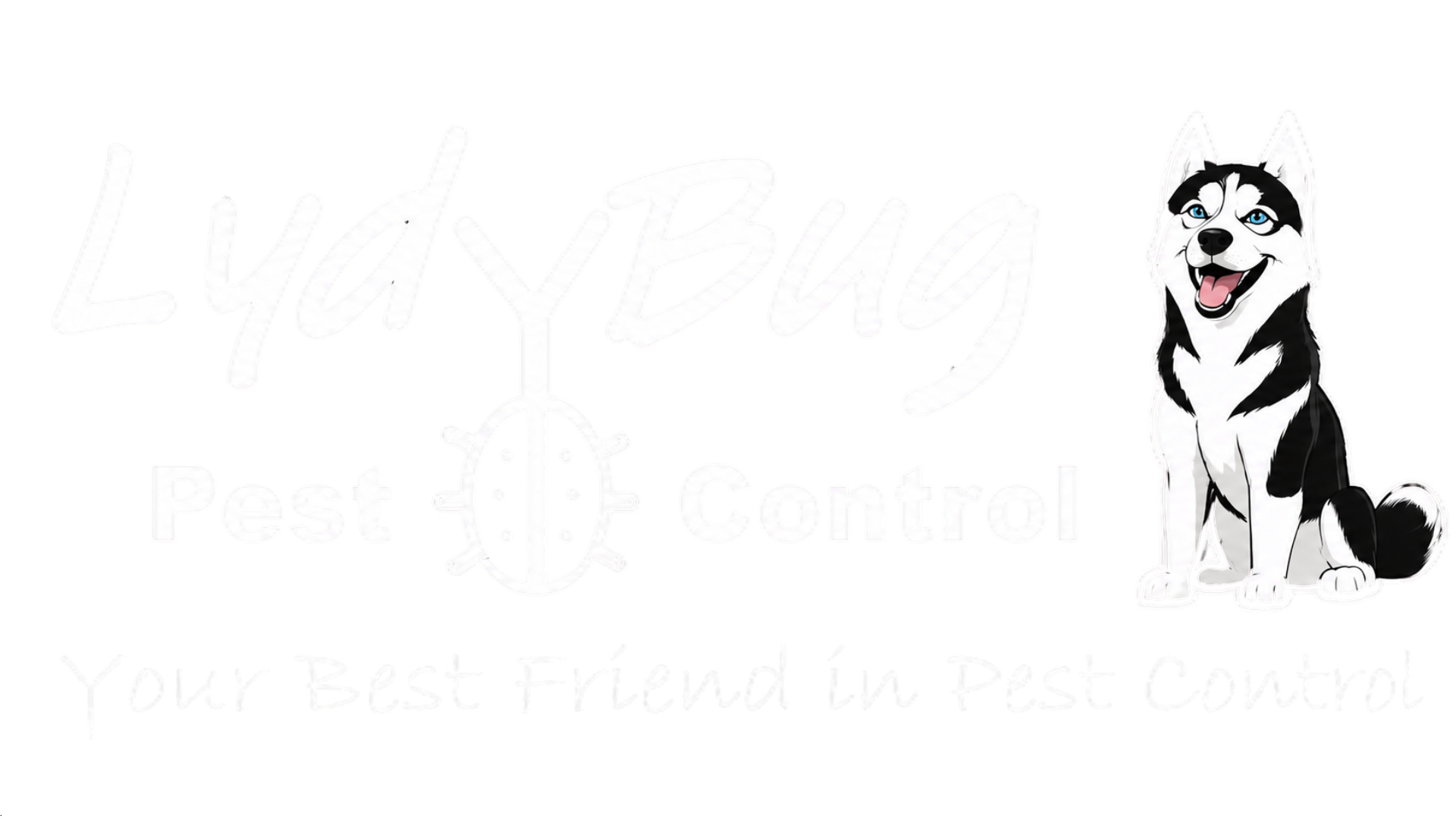 LydyBug Pest Control