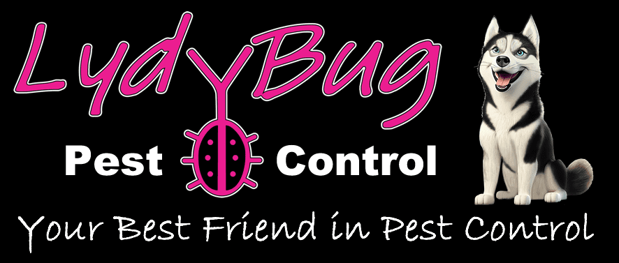 LydyBug Pest Control logo with pink script, white text, a husky mascot, and tagline on black background
