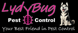 LydyBug Pest Control logo with pink script, white text, a husky mascot, and tagline on black background