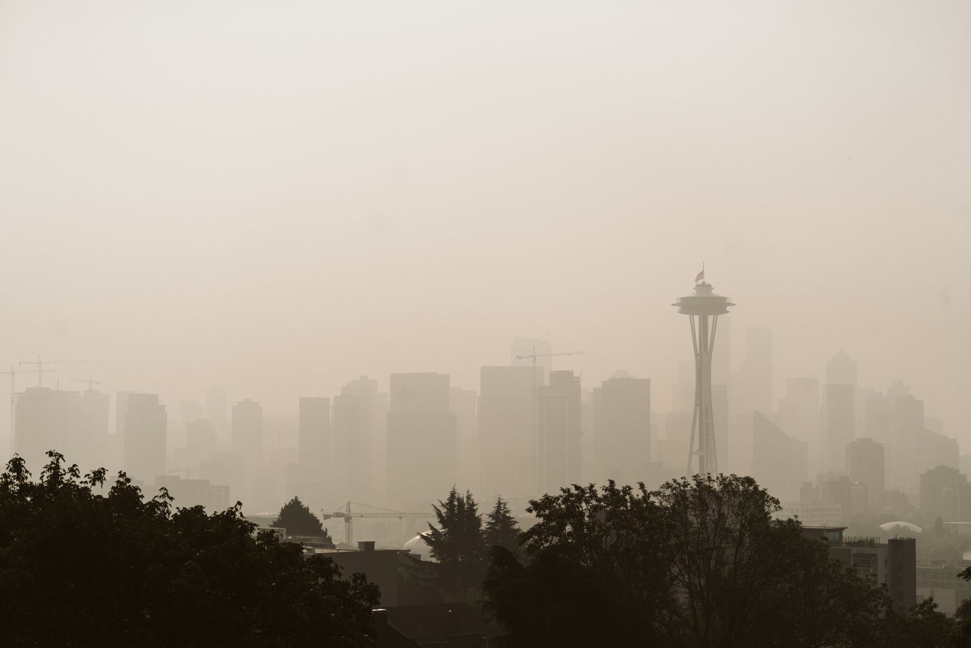 seattle wildfire