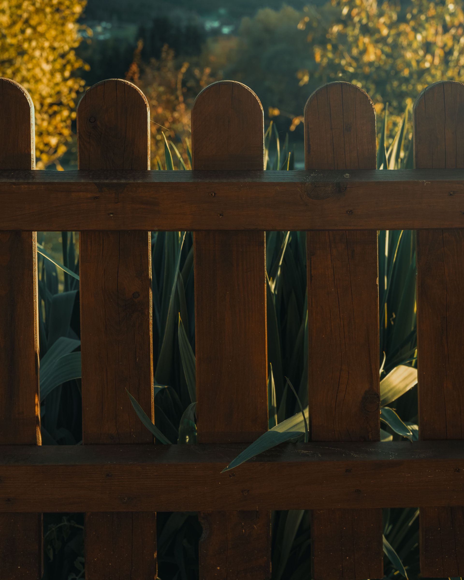 Wooden fence along a grassy path beside a dark blue building and trees