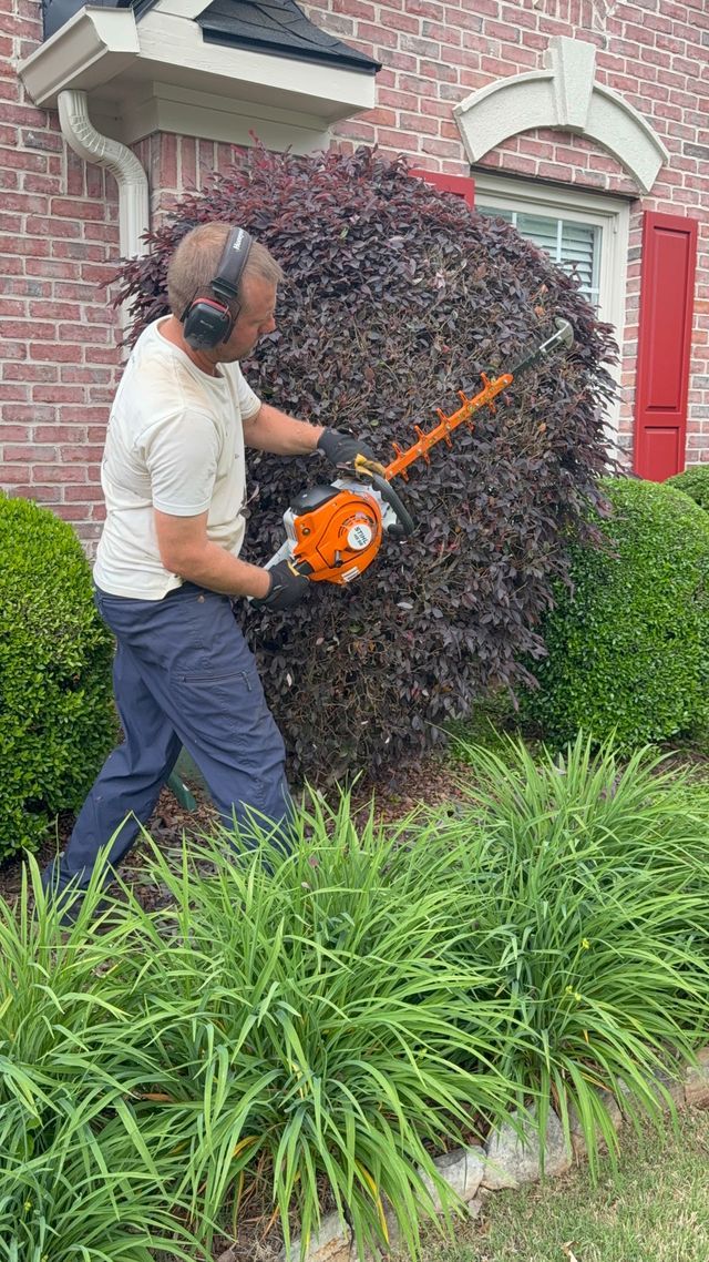 A person using an orange and black pole hedge trimmer to shape a large, dark purple bush next to a brick house.