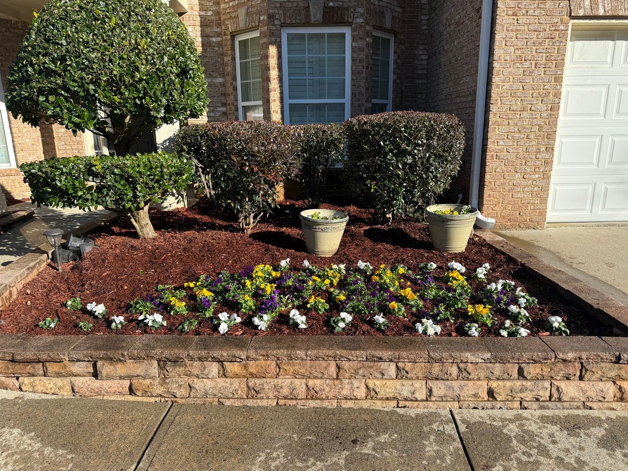 A brick garden bed with small colorful flowers, reddish mulch, two potted shrubs, and a tree in front of a brick house.