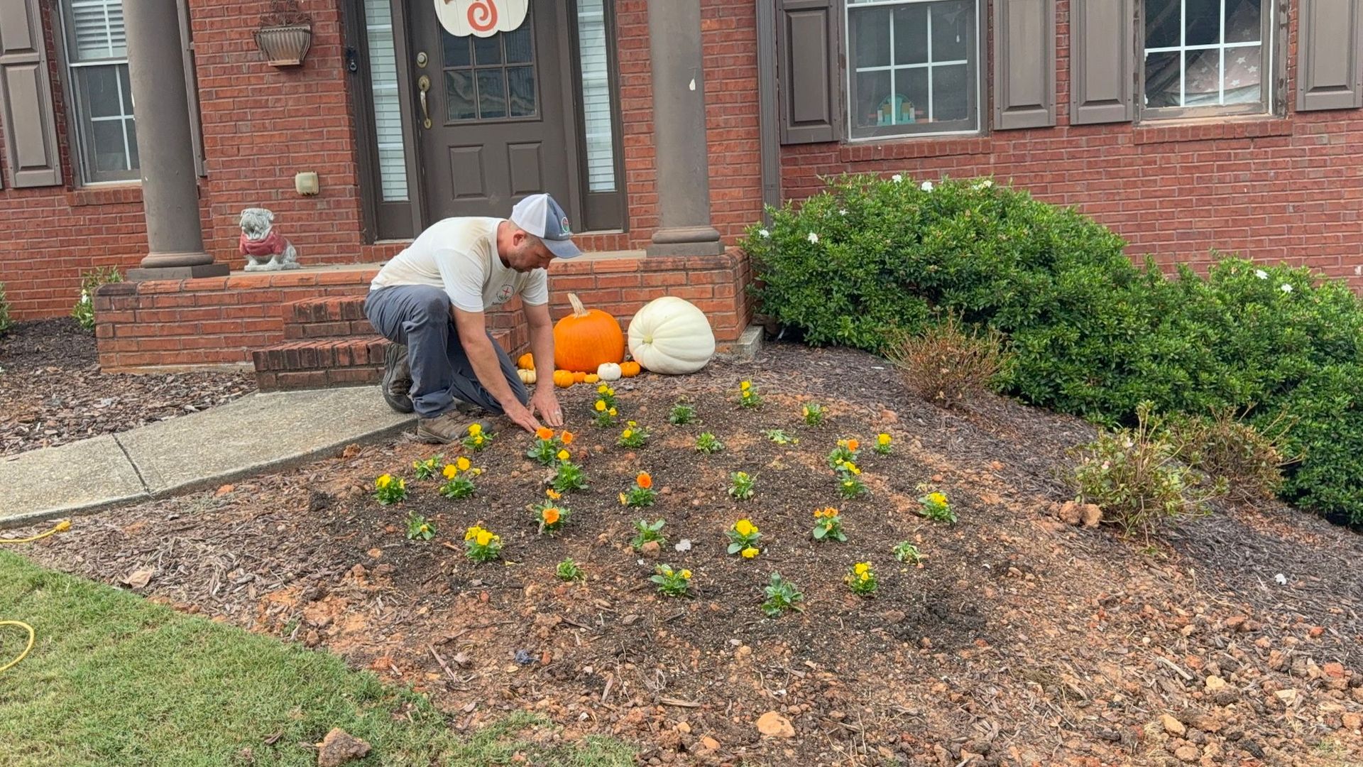 A person kneeling in a garden bed in front of a brick house, planting small yellow flowers in a decorative grid pattern.