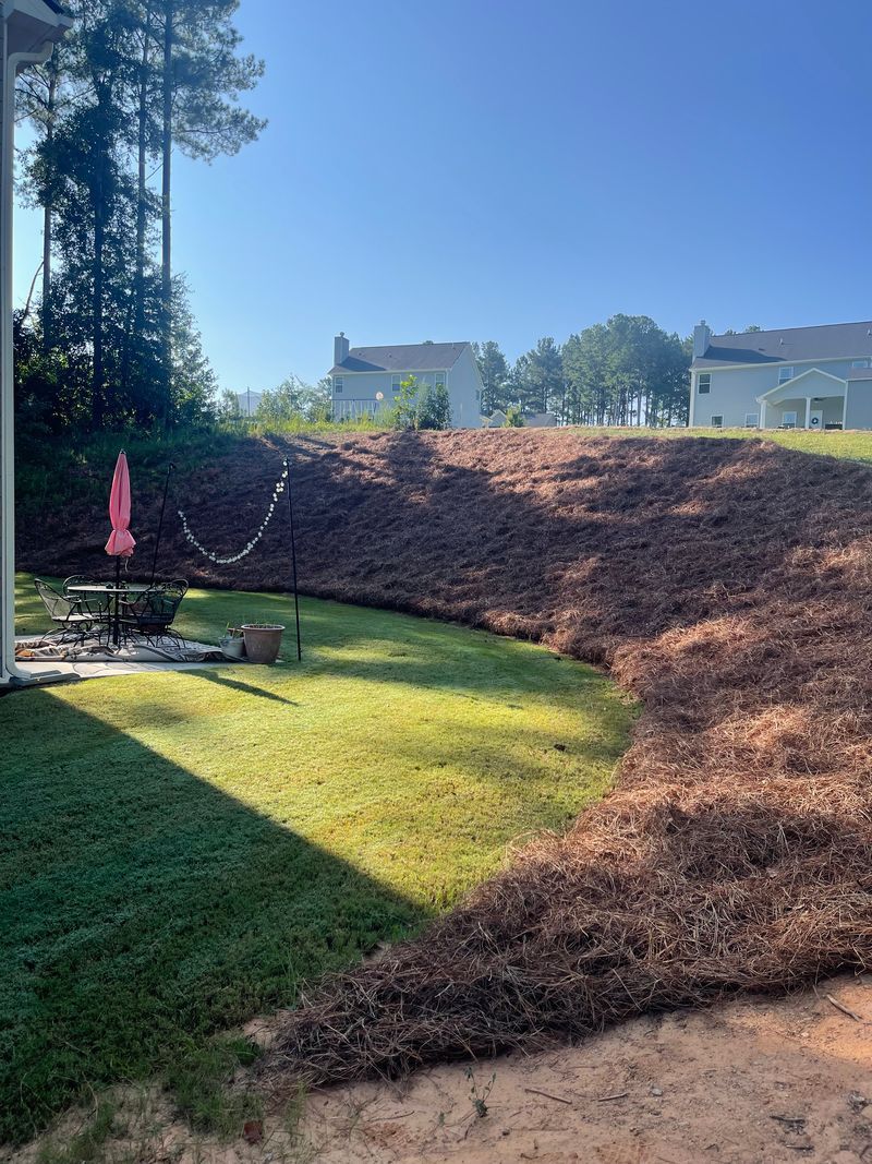 A sunlit backyard featuring a patch of green grass, a patio set, and a large, mulch-covered sloped bank in the background.