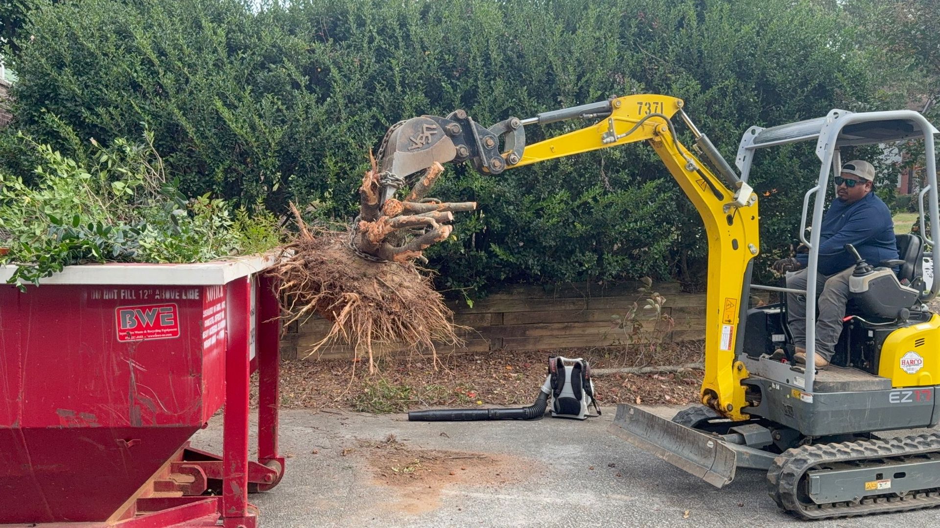 A yellow mini excavator lifts a tree stump into a red dumpster outdoors.