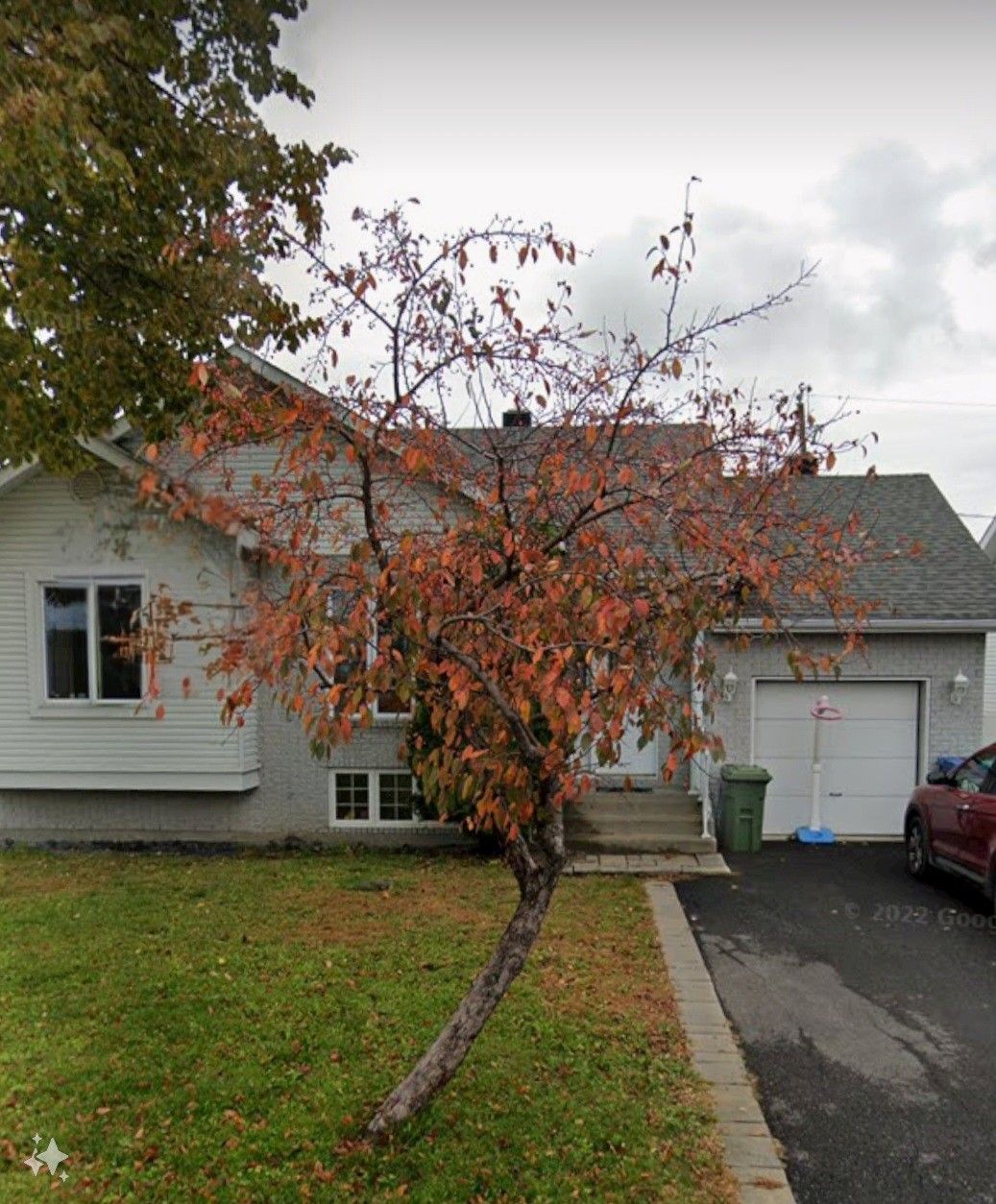 Un petit arbre aux feuilles d'automne orange-rouge pousse dans le jardin d'une maison de plain-pied avec une allée.