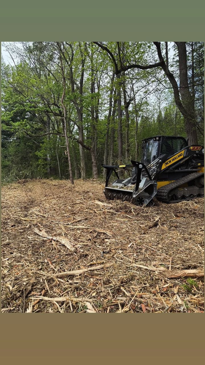 Bulldozer clearing a leaf-covered forest floor among trees