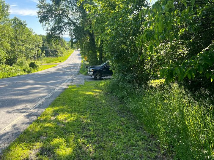Sunny rural road with a parked car partly hidden by trees and tall grass