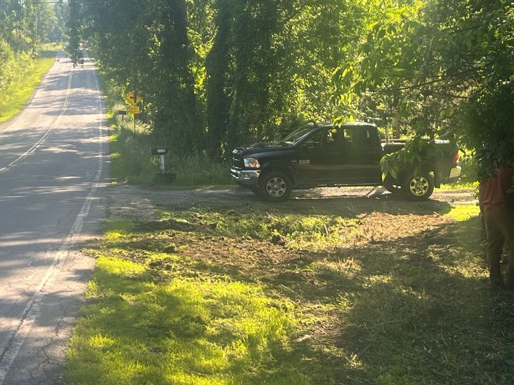 Black pickup truck parked on a grassy roadside beside a tree-lined rural road
