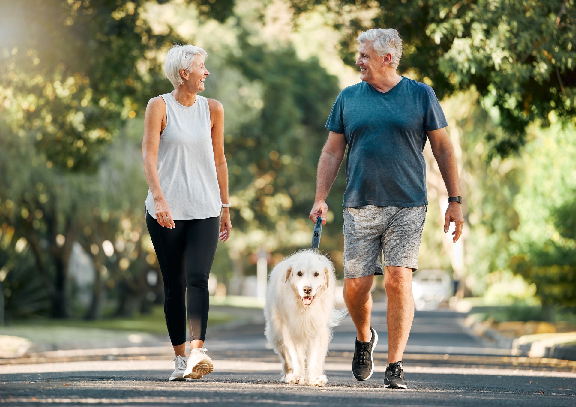 Couple walking dog on a tree-lined street; the man is holding the leash.