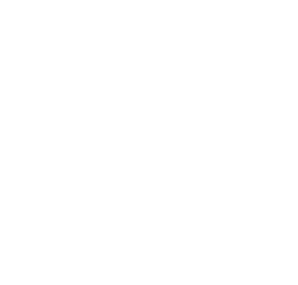 Magnolia Creek icon of Magnolia flower