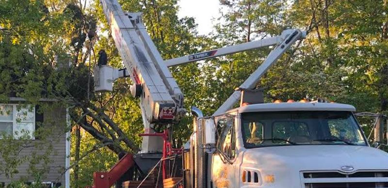 PCR Tree Services | Chattanooga, TN