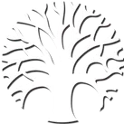 A black and white drawing of a tree with leaves on a white background.