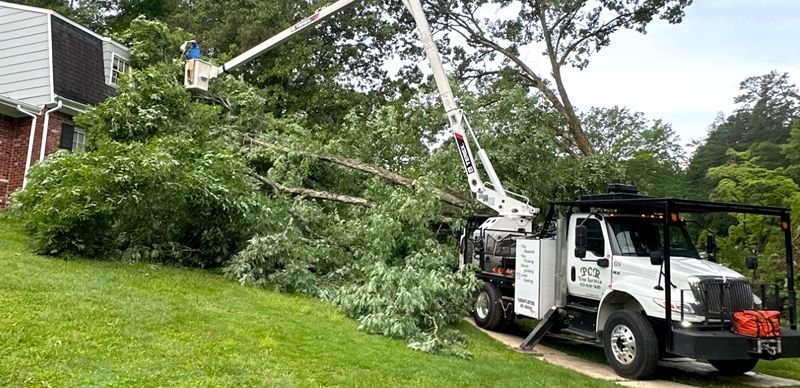 PCR Tree Services | Chattanooga, TN