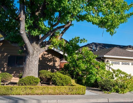 A large, mature tree has fallen across the front yard and driveway of a suburban house.