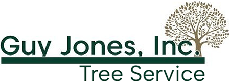 Logo of