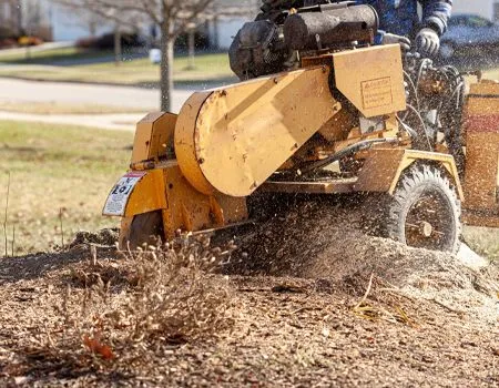 Yellow stump grinder removing a tree stump, with operator in background, outdoors.