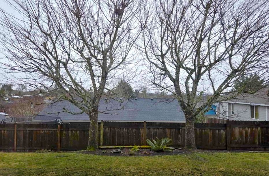 Two bare trees frame a brown fence, with a dark roof and a house visible in the background against a cloudy sky.