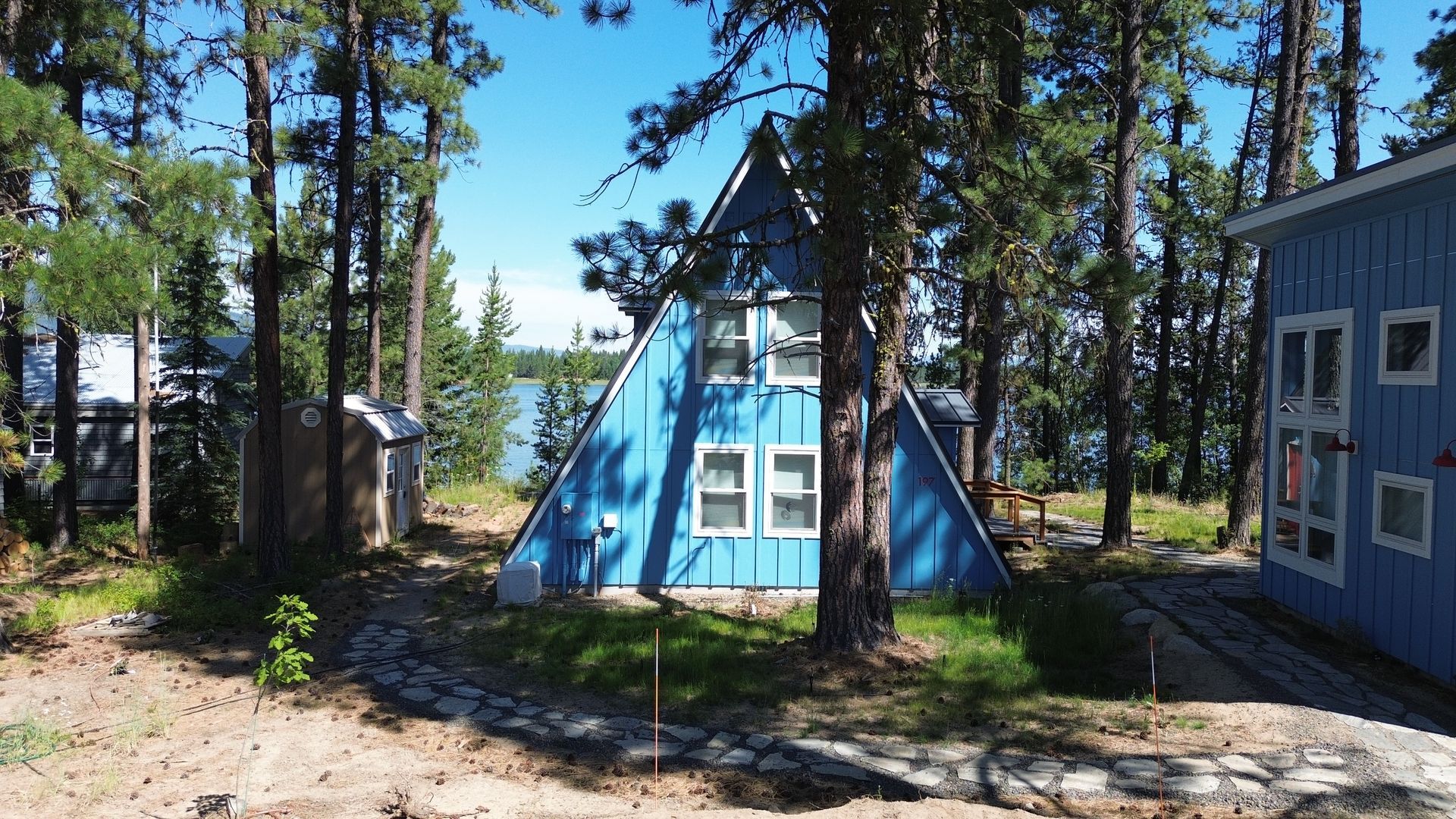 Blue A-frame cabin among pine trees with a small deck and adjacent gray building in bright sunlight