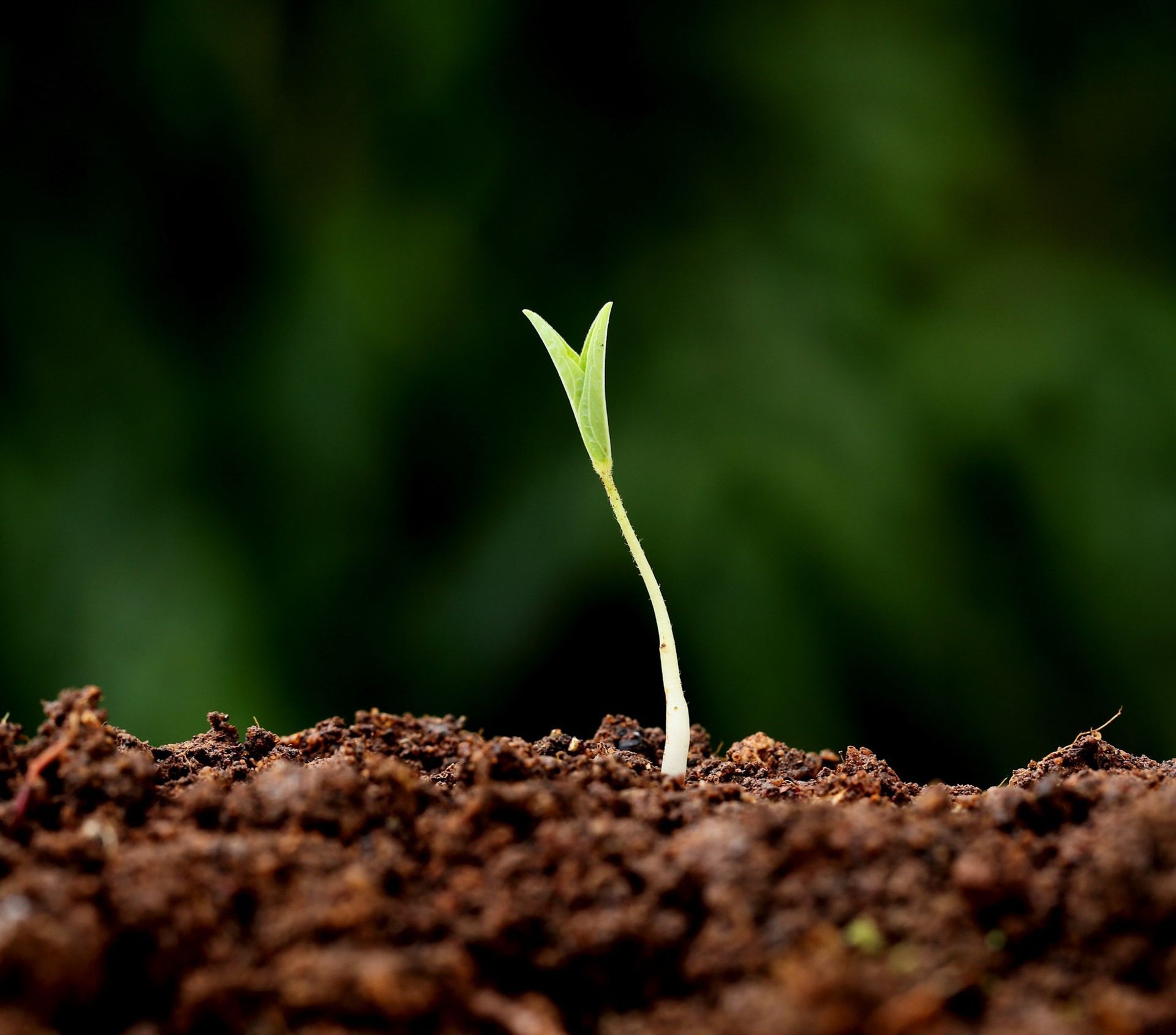 Surefarming Hyperspectral Remote Sensing Services