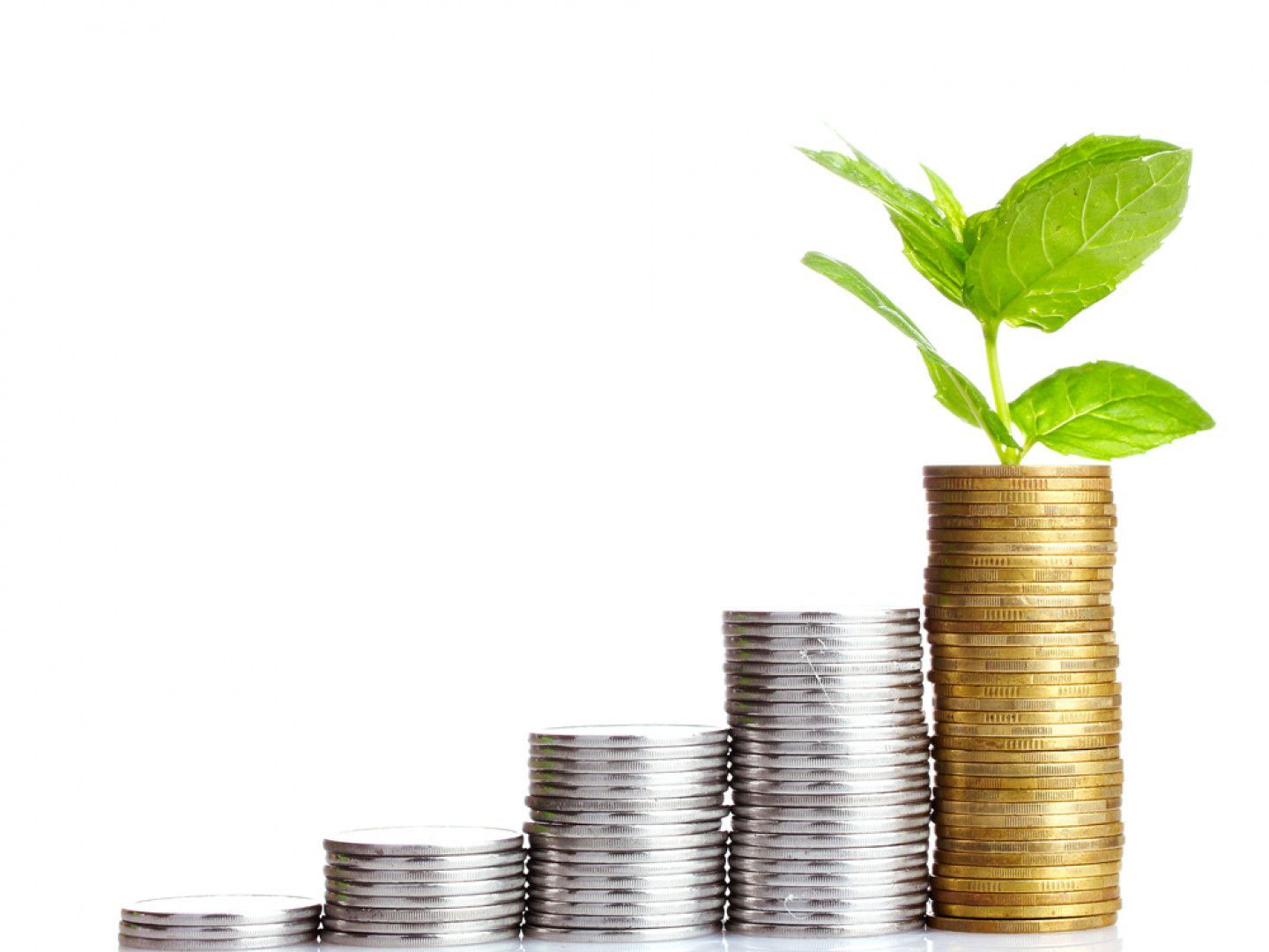 Stacks of coins rising in height with a plant growing from the top stack.