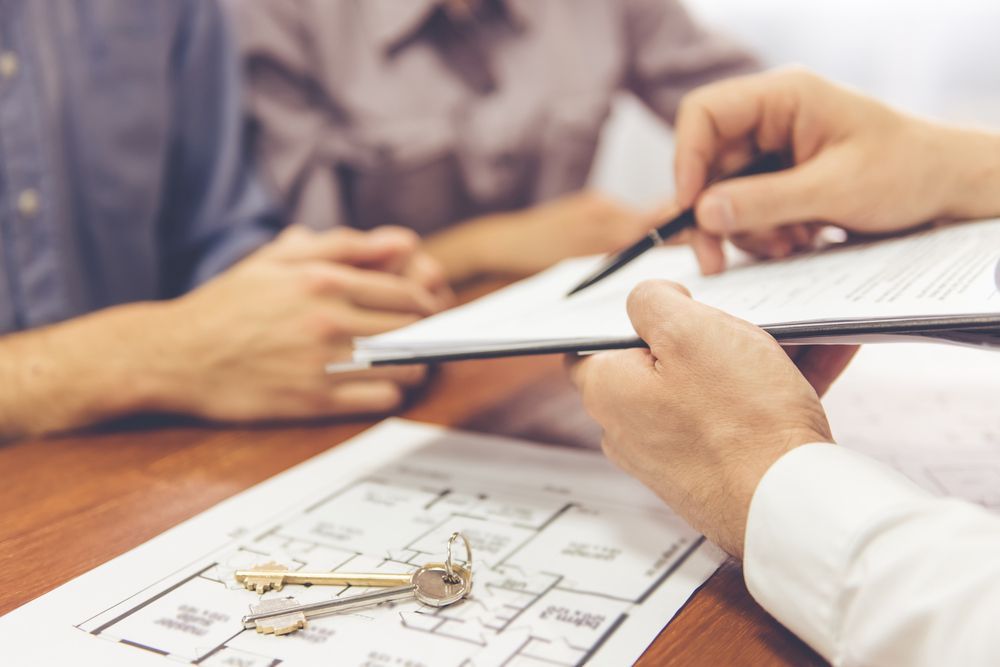 Person Pointing to Document, Discussing Terms With a Couple — Adamson Town Planning in Noosaville, QLD