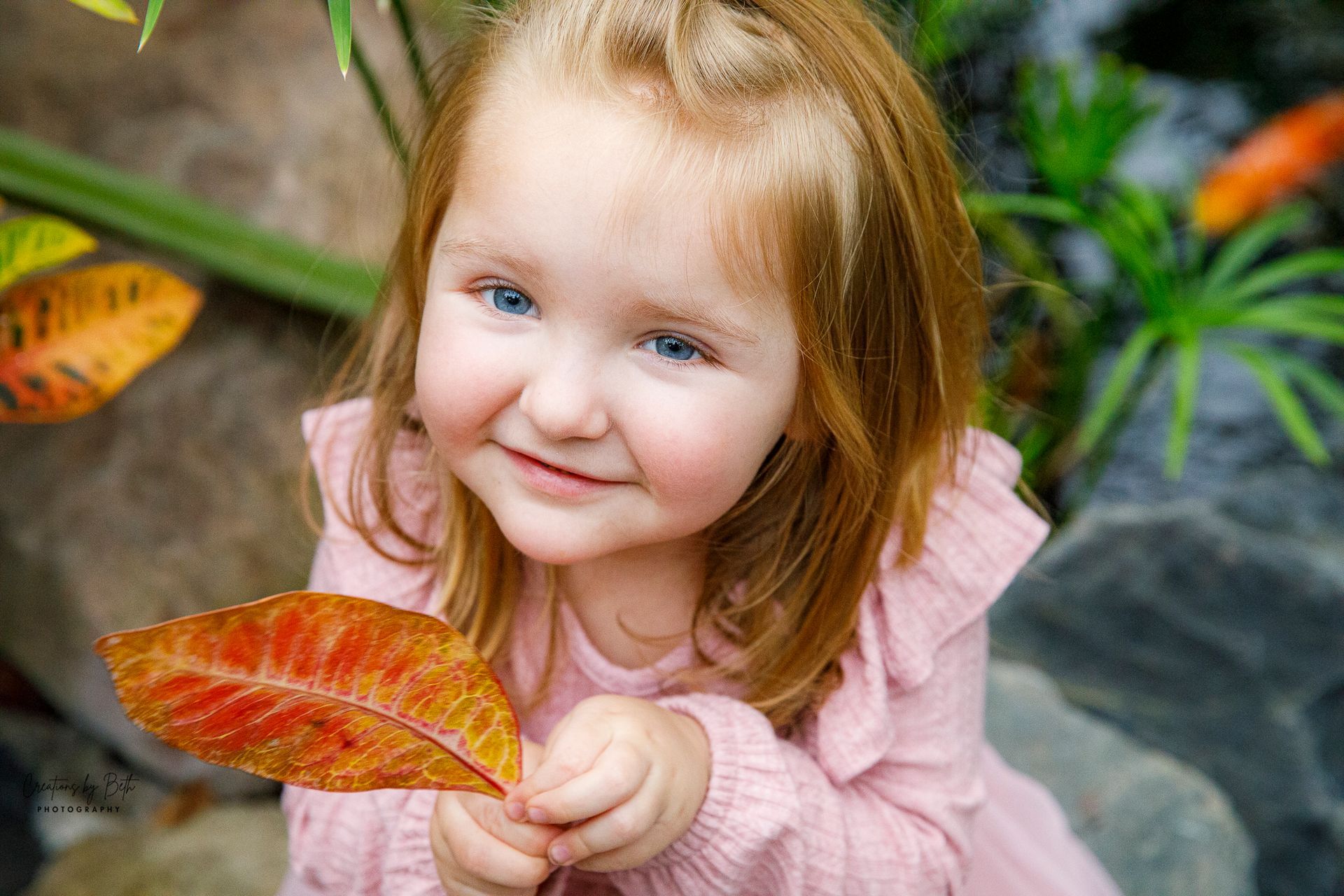 blurred background of foliage photography