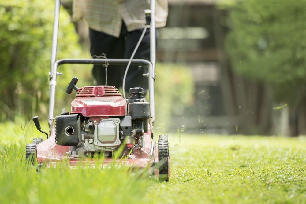 Lawn Mower Cutting Grass in a Backyard, Person Pushing Mower — Taree Lawn and Garden In Hallidays Point, NSW