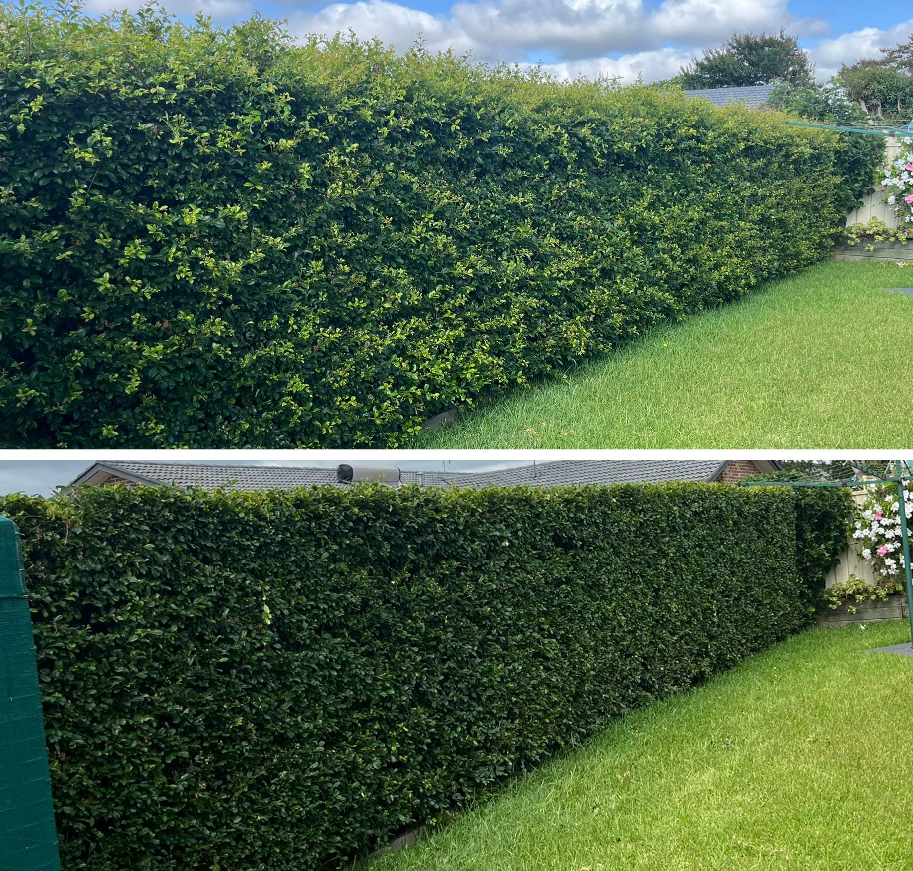 Hand Pruning a Tree Branch With Red Handled Shears in a Garden — Taree Lawn and Garden In Taree, NSW