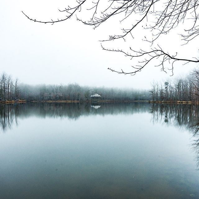 A lake surrounded by trees on a foggy day