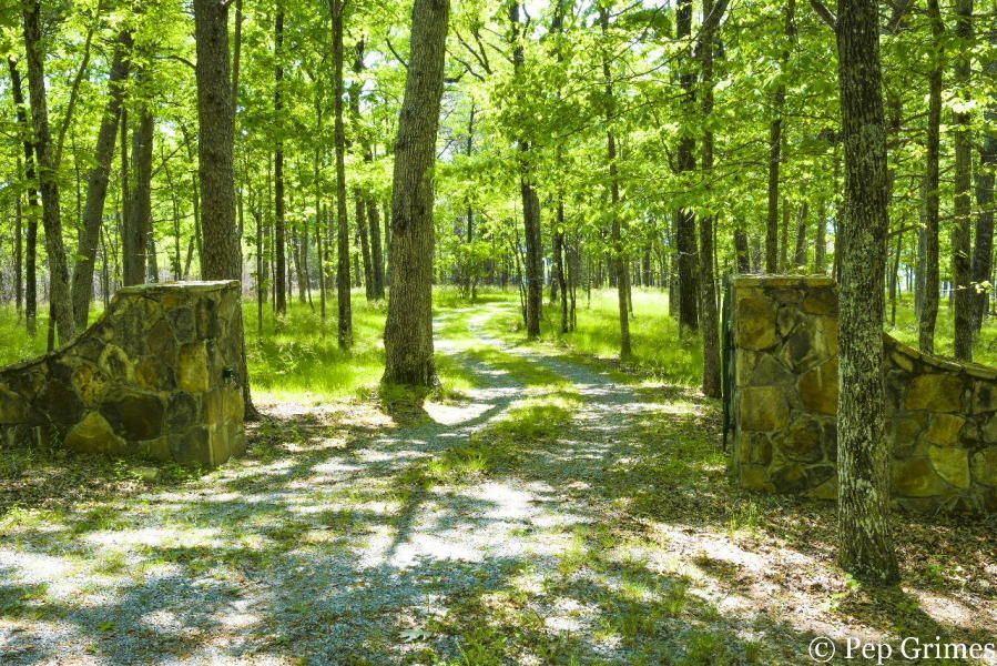 A dirt road going through a lush green forest with stone pillars.