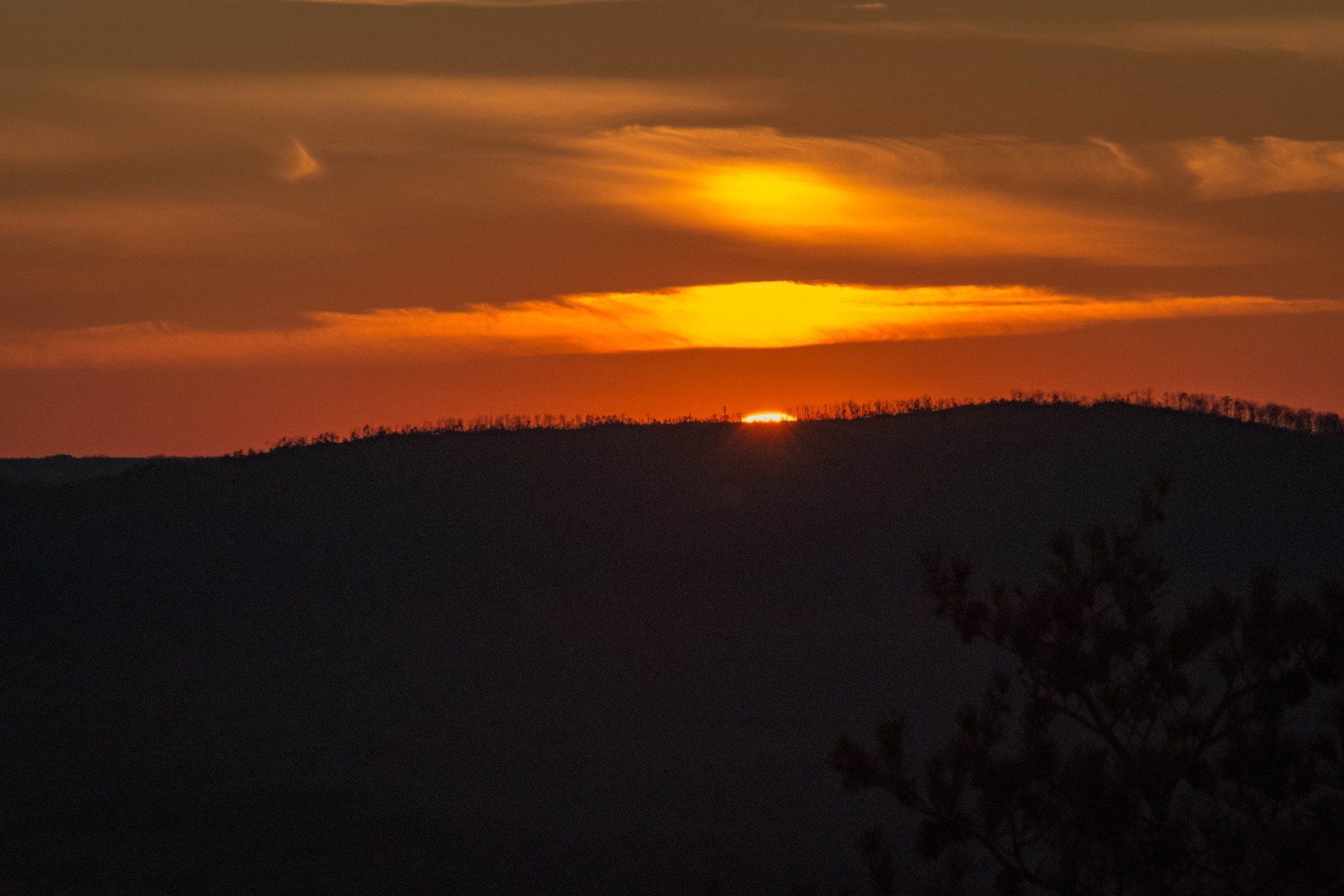 A sunset over a mountain with trees in the foreground