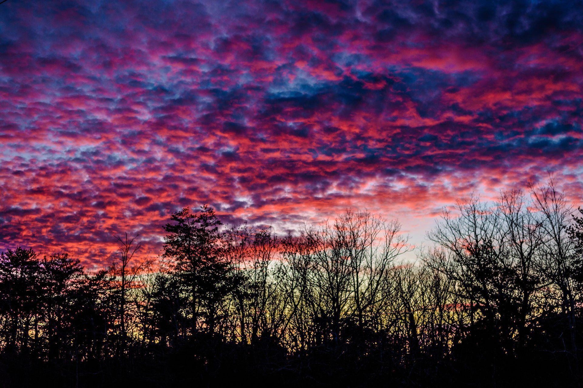 A sunset over a forest with trees in the foreground and a colorful sky in the background.