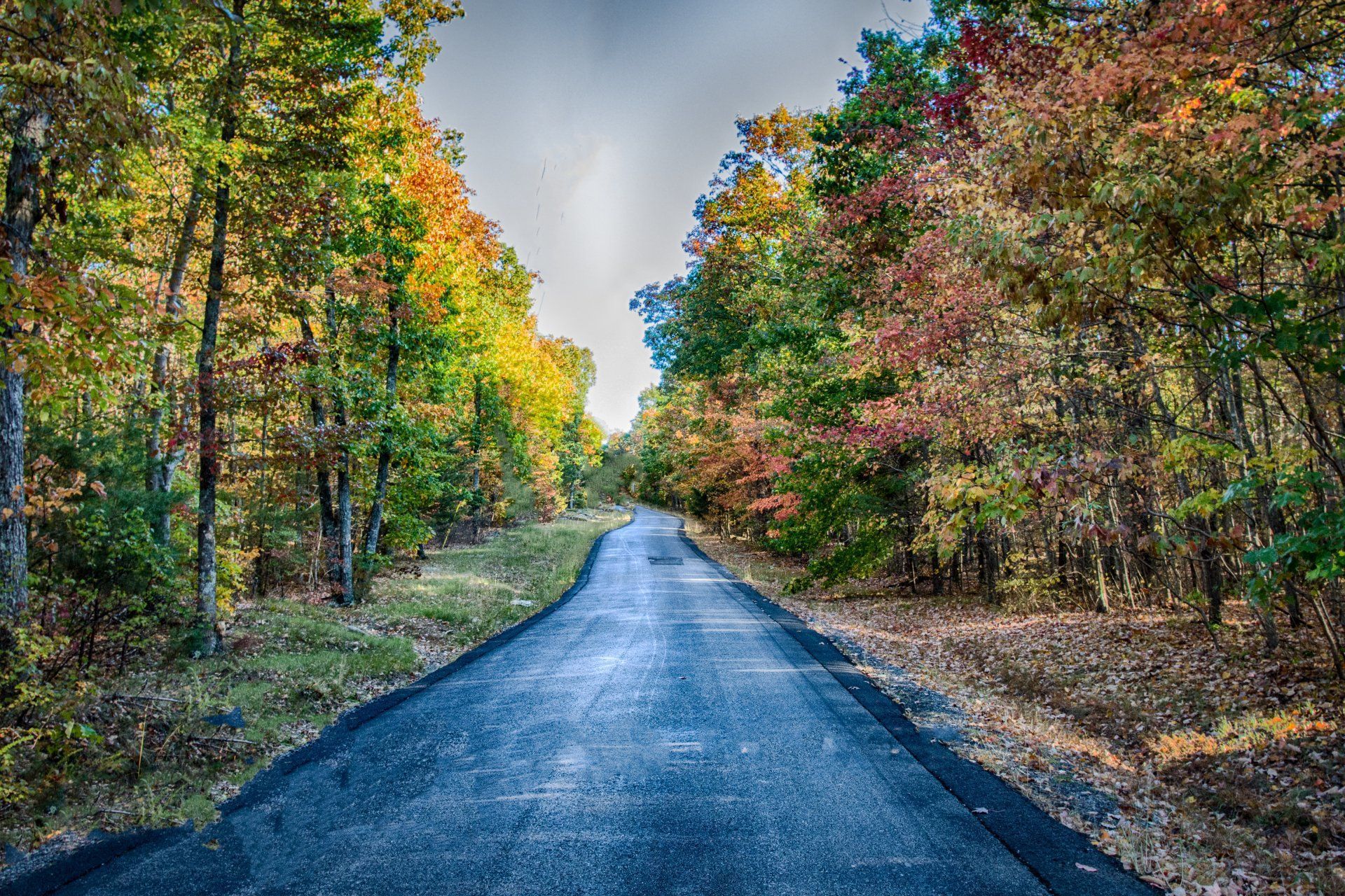 A road going through a forest with trees changing colors