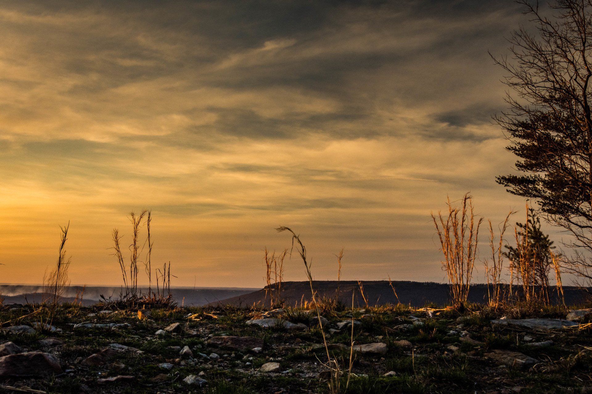 A sunset over a grassy hillside with trees in the foreground