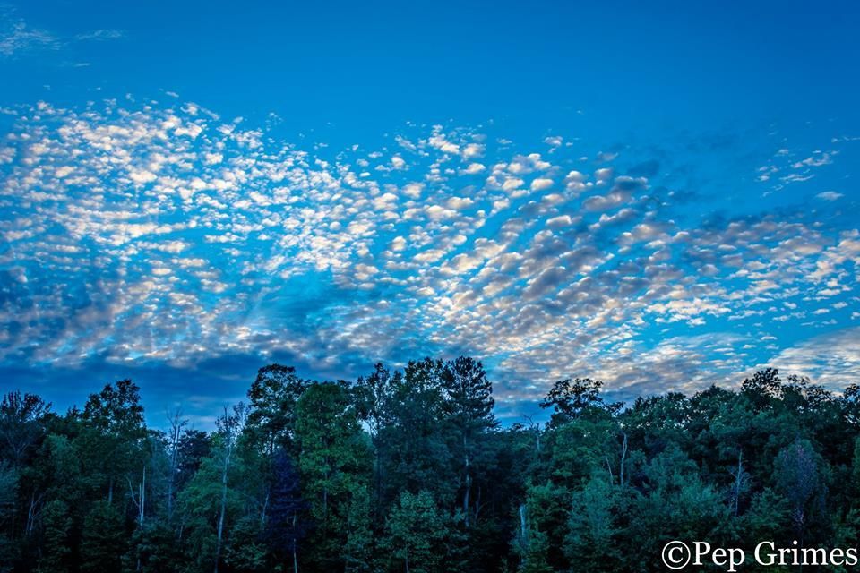 A blue sky with clouds and trees in the foreground