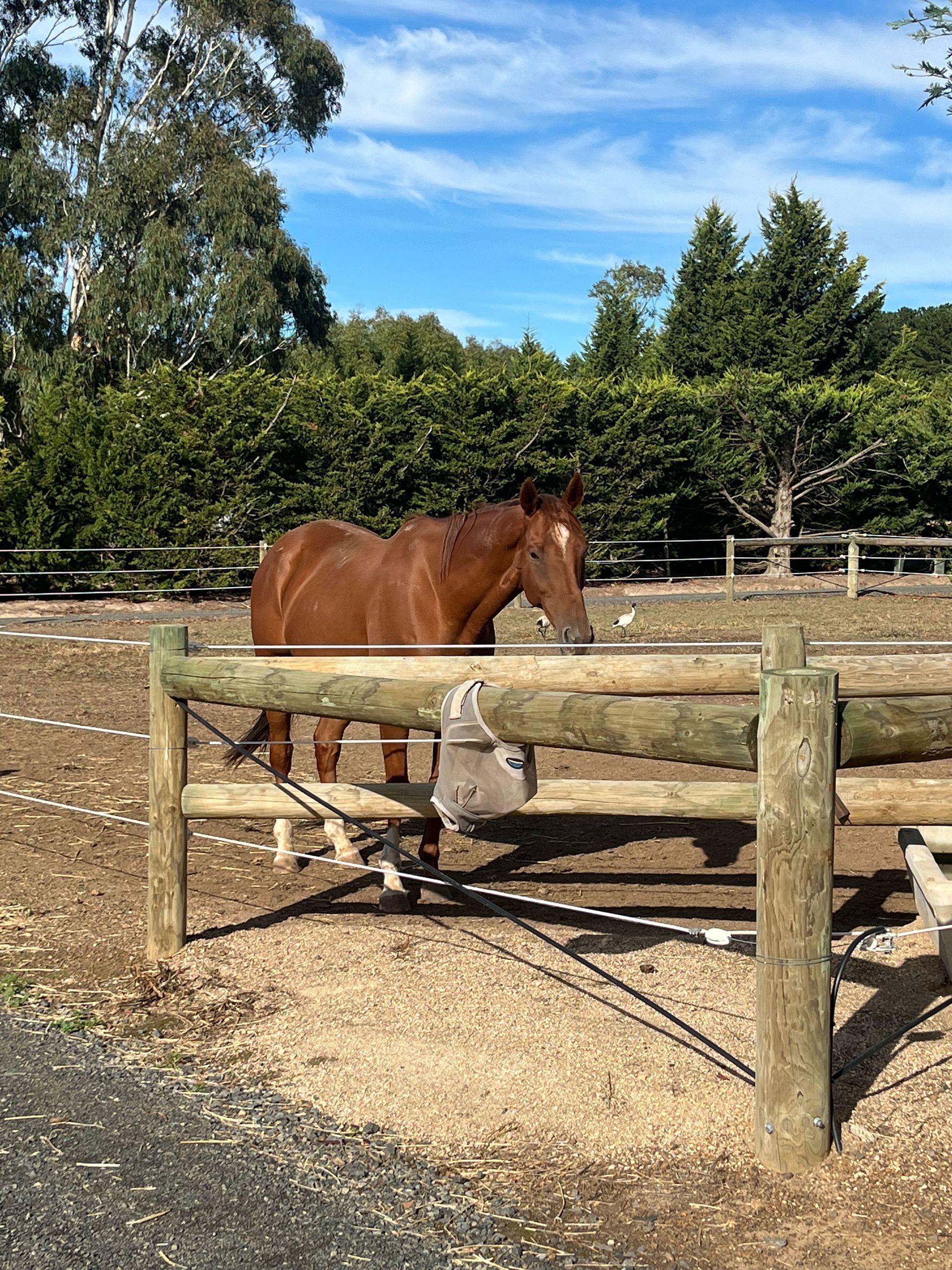 Holding Yards on site